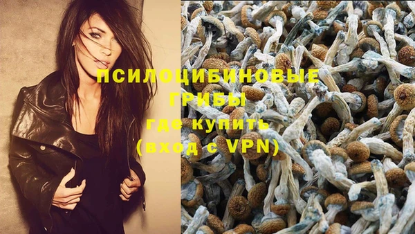 амф Нягань